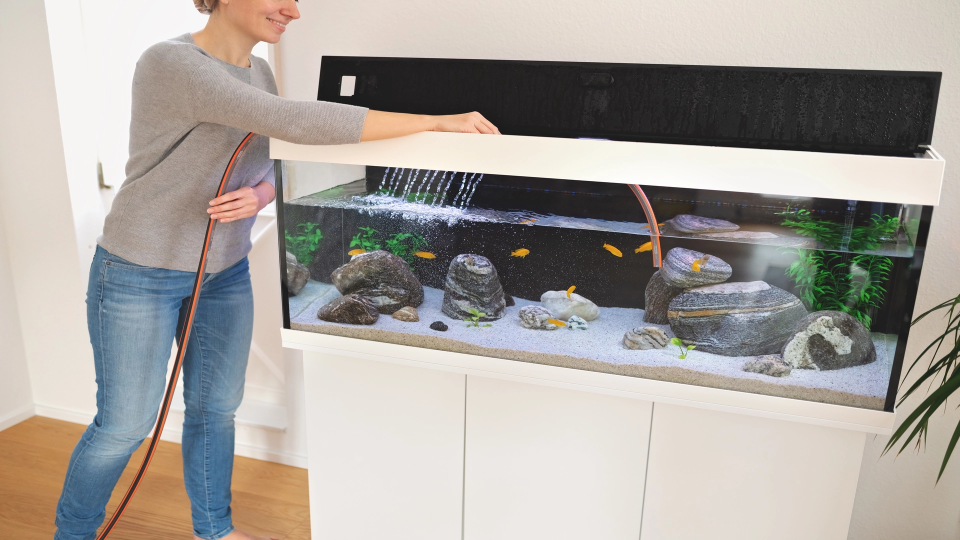 Basement Playroom Ideas: A woman cleaning the aquarium 